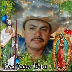 Meet your Posher, Julian